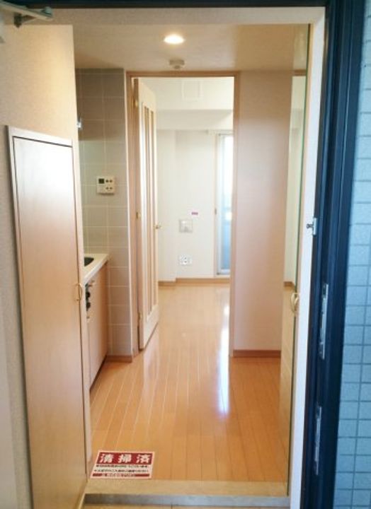 エクセリア大山の玄関