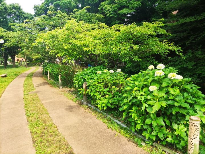 サンテラス1の周辺