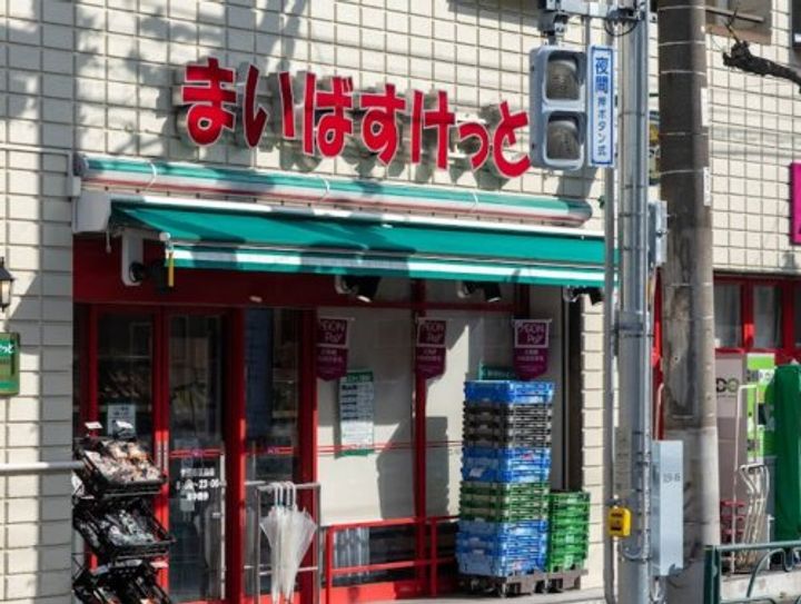 グリーンハイム池上の周辺