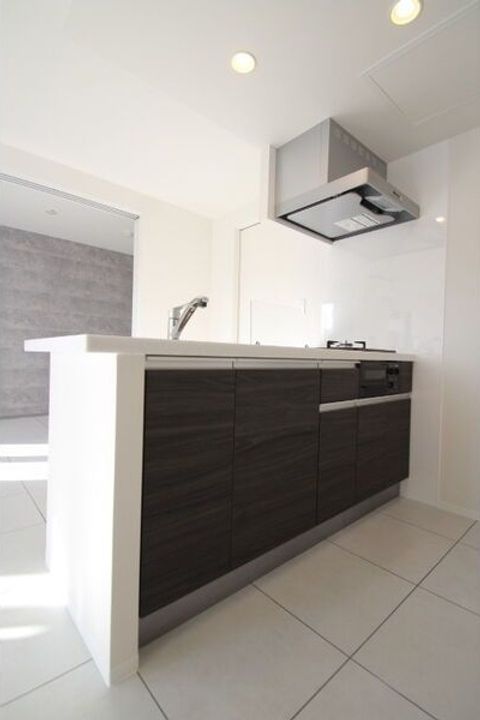 北海道札幌市白石区本郷通8丁目南(マンション)の賃貸物件のキッチン