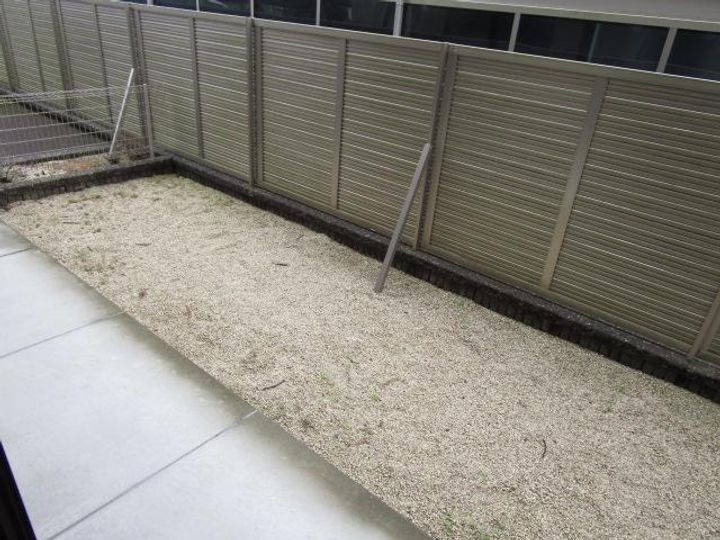 プリマヴェーラIIの内装