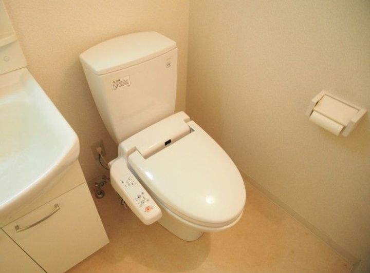 レオーネ亀戸の内装