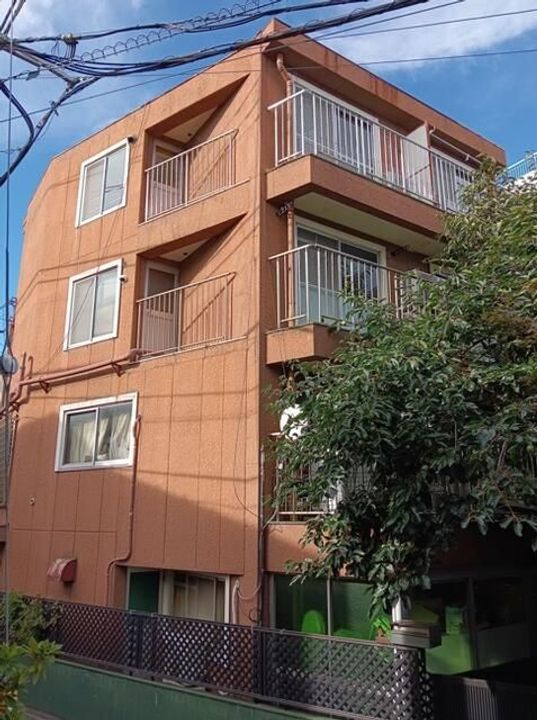 ブラウンスポットの外観