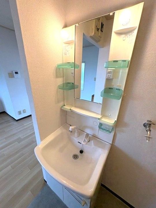 千葉県野田市山崎(アパート)の賃貸物件の内装