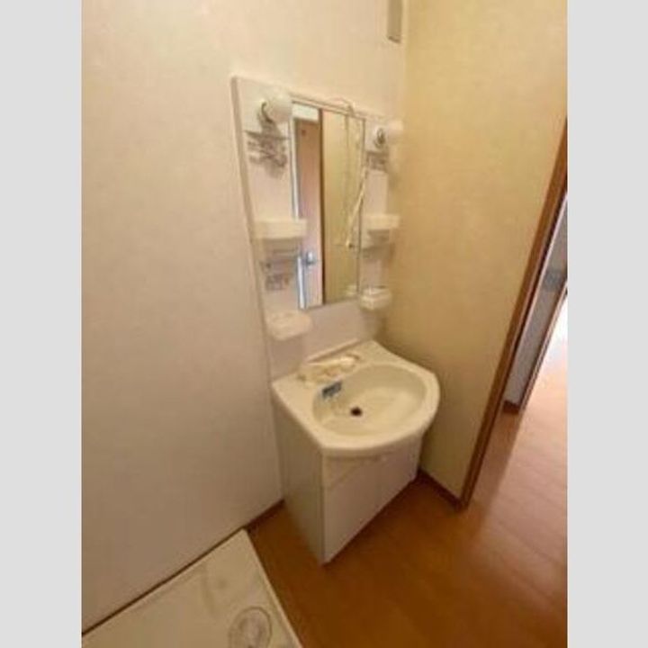 ペットソラーレの内装