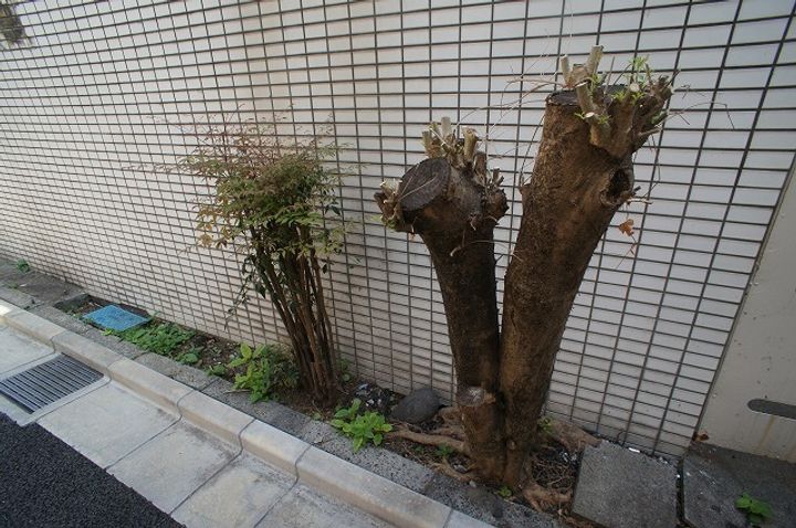 スカイコート後楽園のその他画像