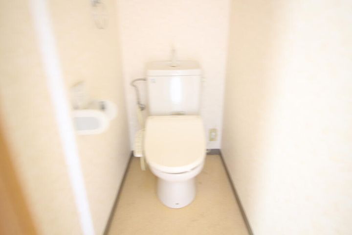 徳島県徳島市南島田町2(マンション)の賃貸物件の内装