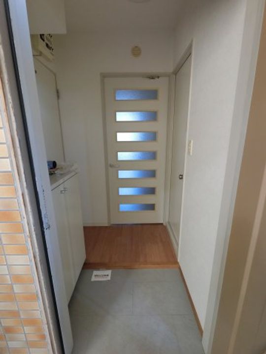 千葉県市原市五井(マンション)の賃貸物件の玄関