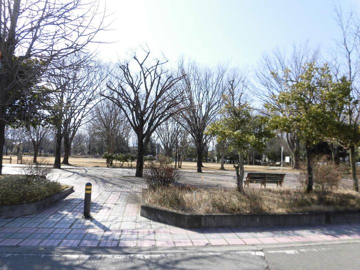 ヴェルドミールNの周辺