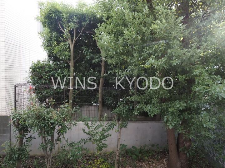 東京都世田谷区赤堤3(マンション)の賃貸物件のその他画像