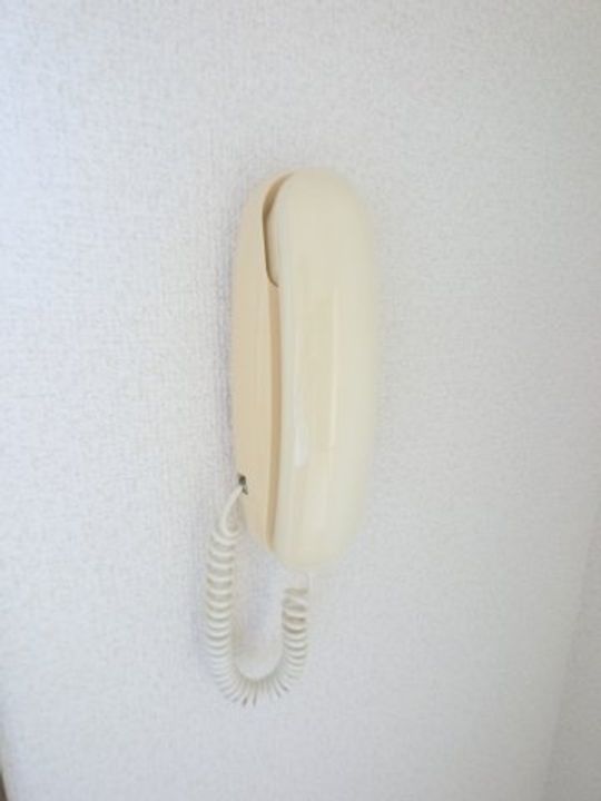 千葉県東金市東金(アパート)の賃貸物件の内装