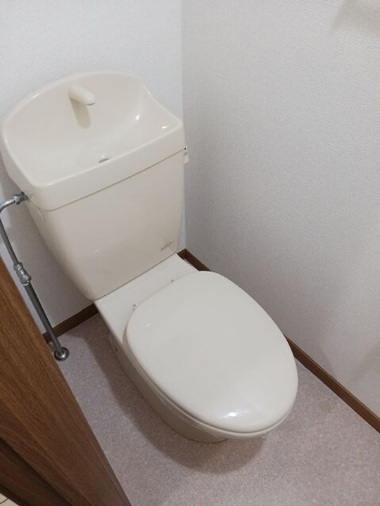 千葉県茂原市高師(アパート)の賃貸物件の内装