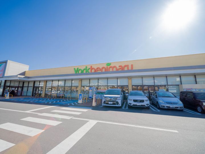 プラナス桜の周辺