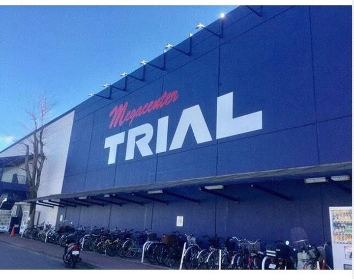 プラナス桜の周辺