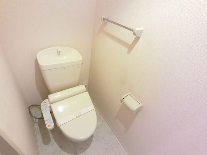 群馬県伊勢崎市豊城町(アパート)の賃貸物件の内装