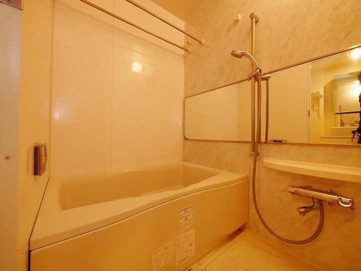 レジディア大通西の風呂