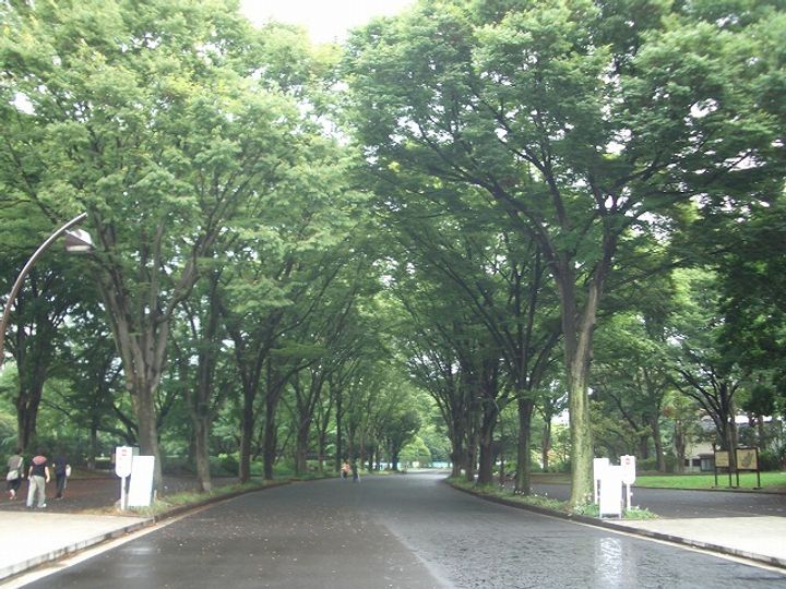 東京都世田谷区駒沢1(マンション)の賃貸物件のその他画像