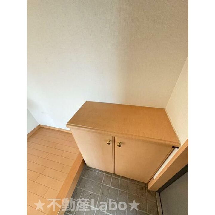 徳島県板野郡藍住町矢上字春日(アパート)の賃貸物件の玄関