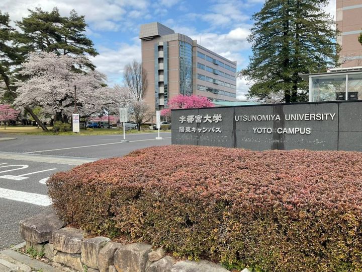 K village 陽東の周辺