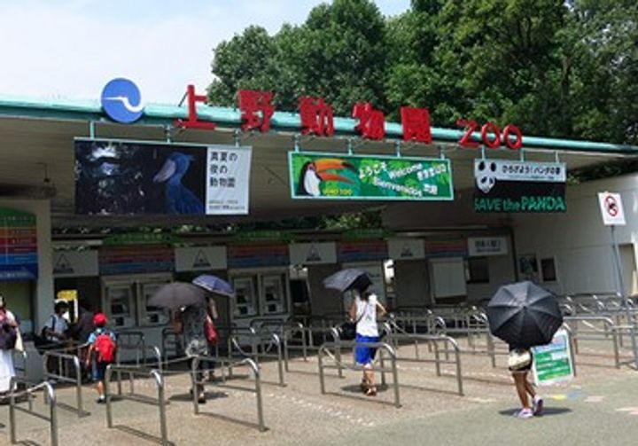 グランカーサ上野池之端の周辺