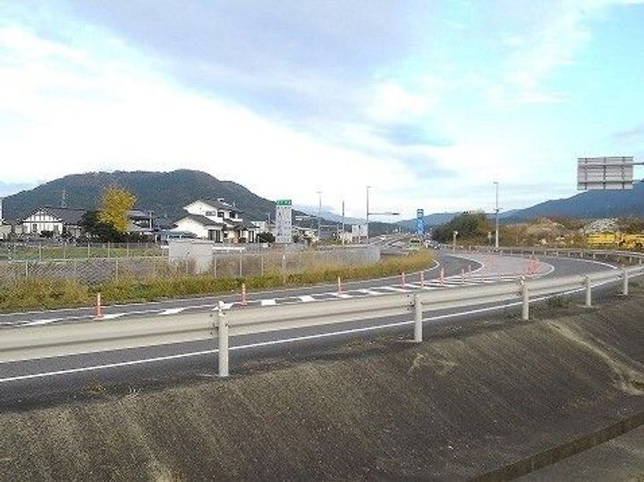 マリーゴールドの周辺