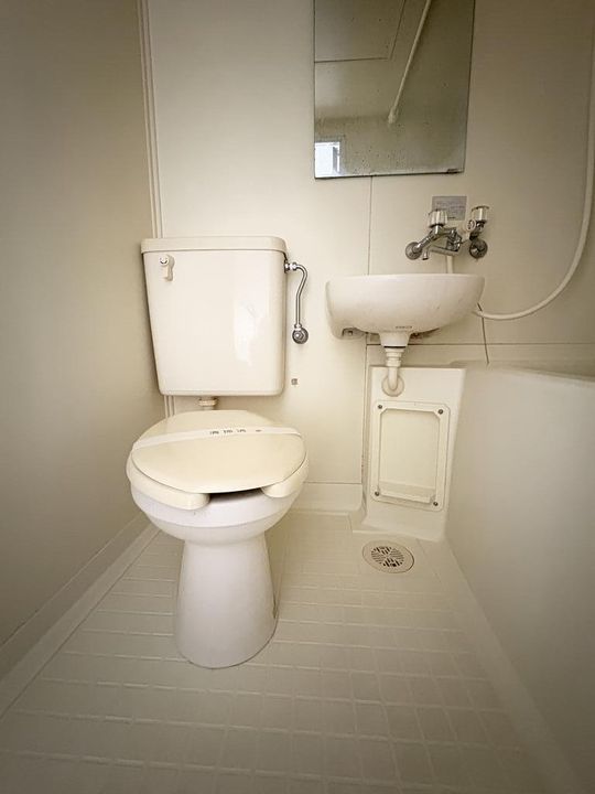 広島県東広島市西条町田口(アパート)の賃貸物件の内装