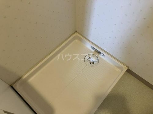 ハーヴィスカエロンのその他画像