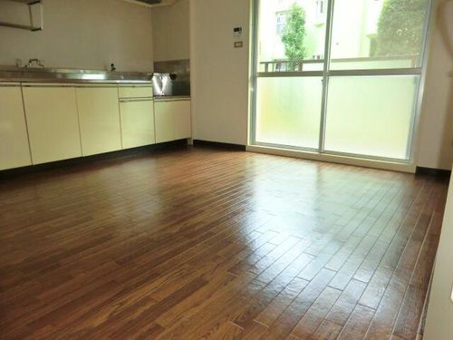 グリーンハイツ泉206の内装