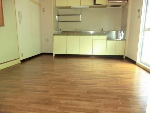 グリーンハイツ泉206の風呂