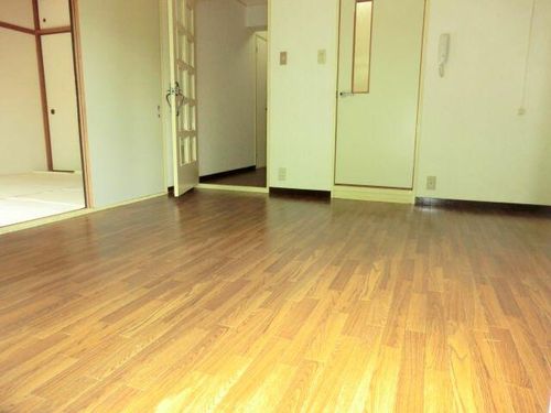 グリーンハイツ泉206の内装