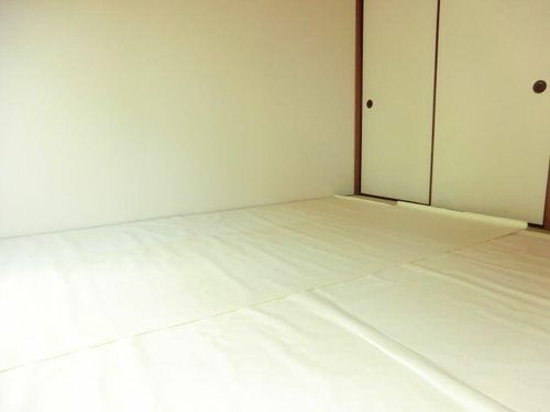 グリーンハイツ泉206の内装