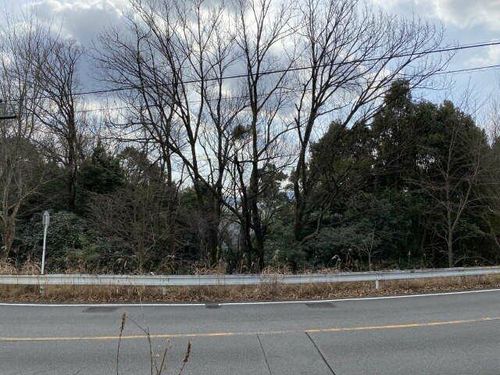 サン・パリオのその他画像