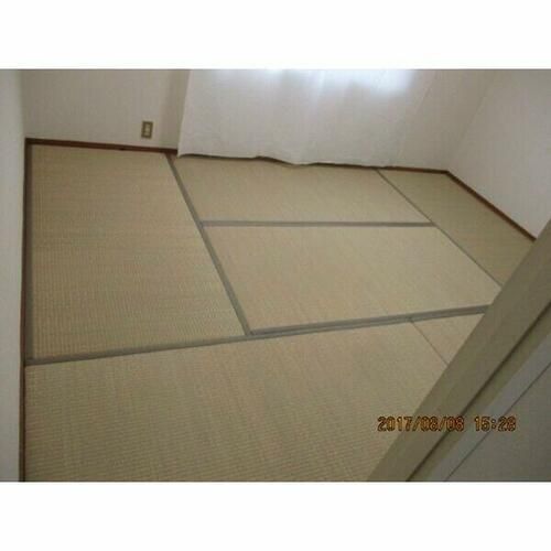 大阪府大阪狭山市東野西1丁目(アパート)の賃貸物件の内装