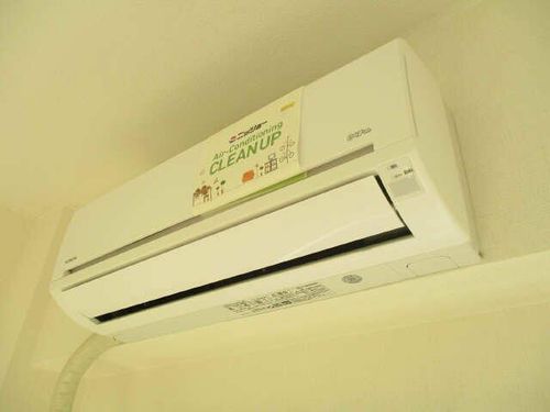 メイトーシェスタのその他画像