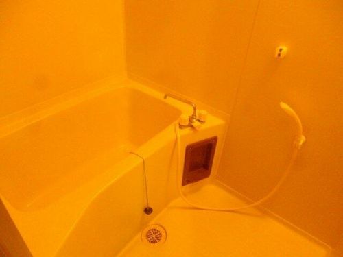 大阪府門真市北岸和田3丁目(マンション)の賃貸物件の風呂