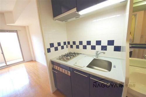 プレサンス泉セントマークのキッチン