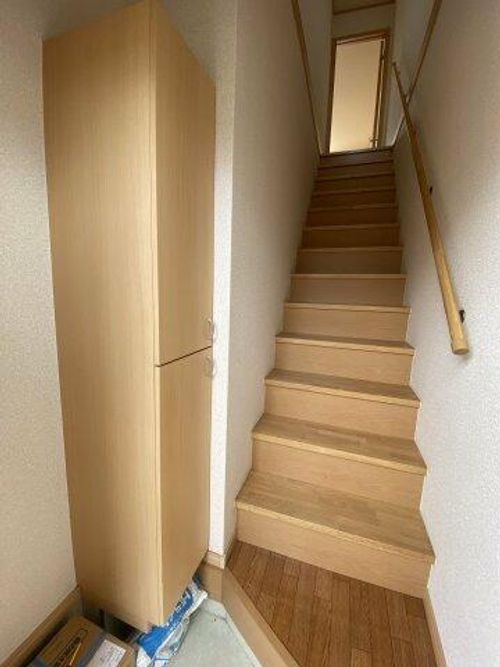 ドゥムールストレチアのその他画像