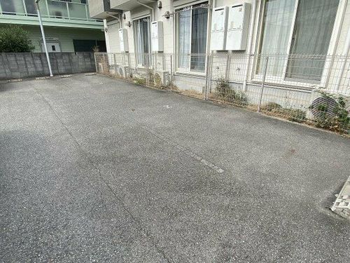 ドゥムールストレチアのその他画像