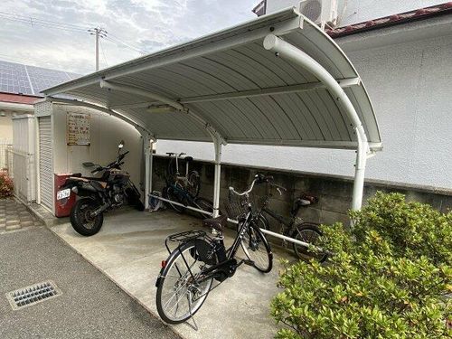 ドゥムールストレチアのその他画像