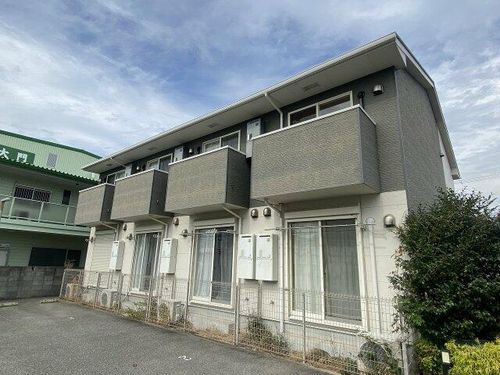 ドゥムールストレチアの外観