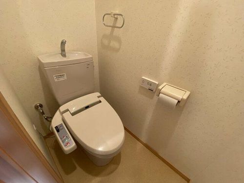 ドゥムールストレチアの内装