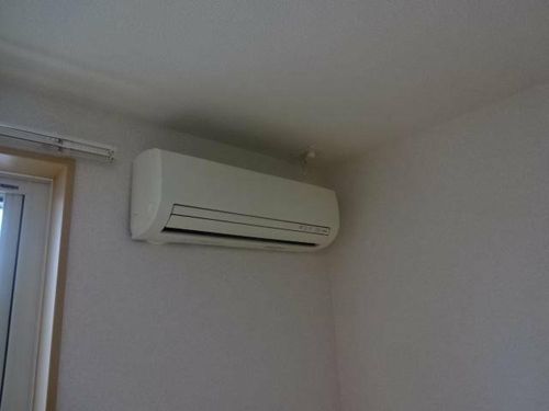 チェリーツリーのその他画像