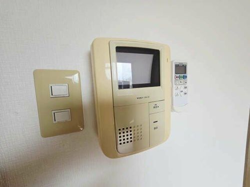 ミネルバのその他画像