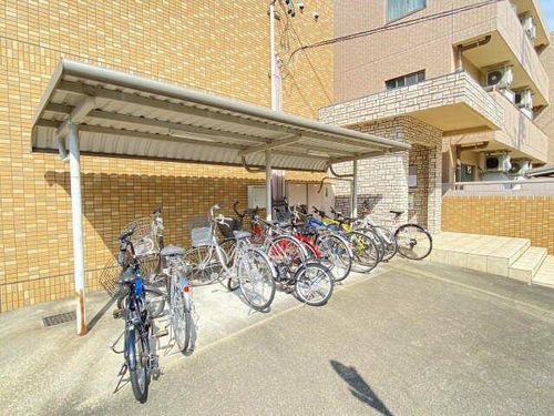 ミネルバのその他画像