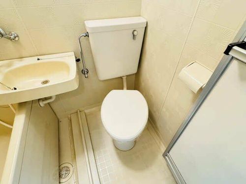 シングルステージの内装