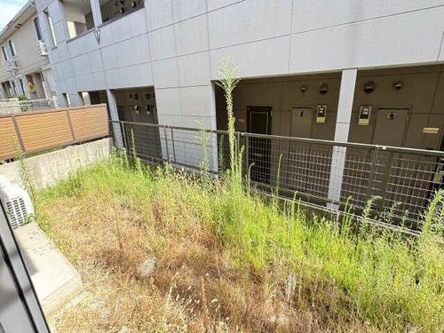 solaのその他画像