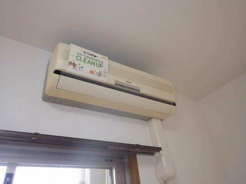 ミネルバのその他画像