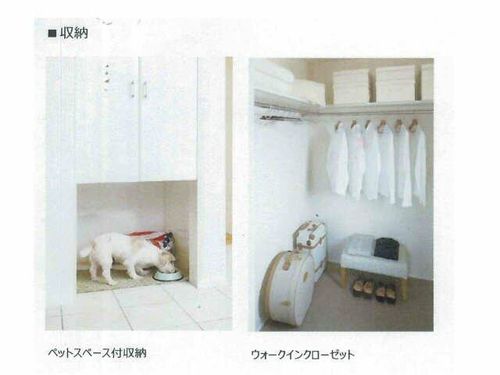 メゾン天白公園東 E棟の内装