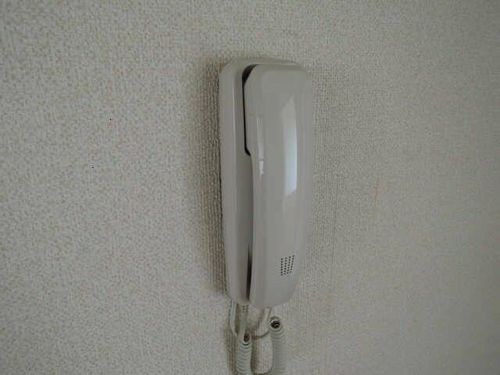 セジュール林のその他画像