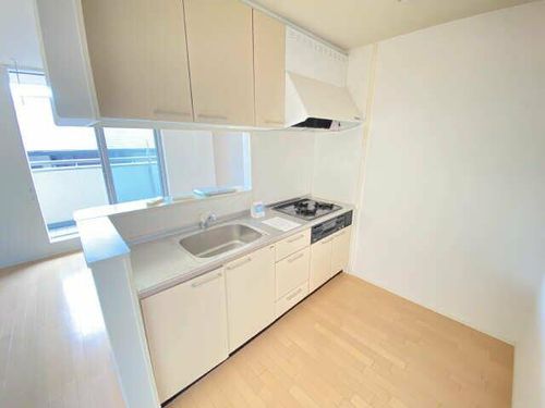 プラナスの杜のキッチン